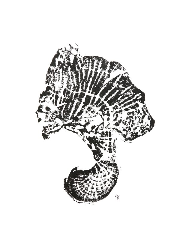 estampes végétale extraneus