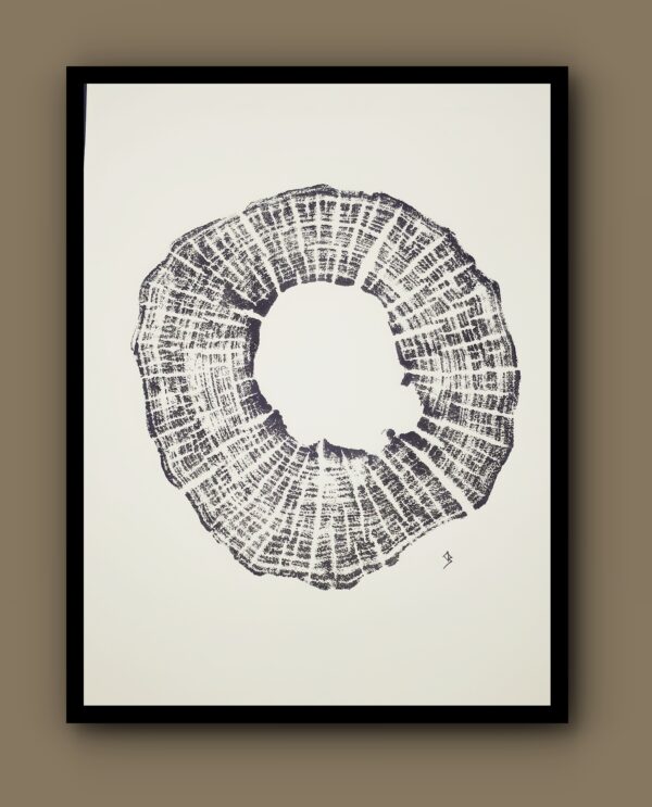 Castanea Sativa 42 – Image 2