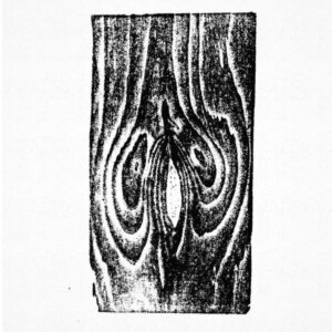 Carte postale All Clitoris Are Beautiful