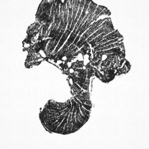 carte postale végétale